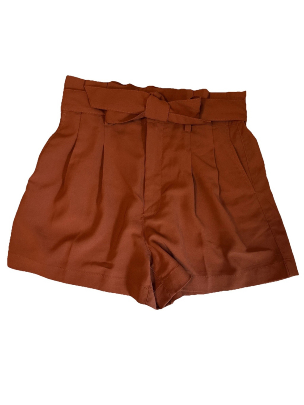 Madewell Women’s Cinched Waist Shorts Burnt Orange Size 6 Summer Pleated